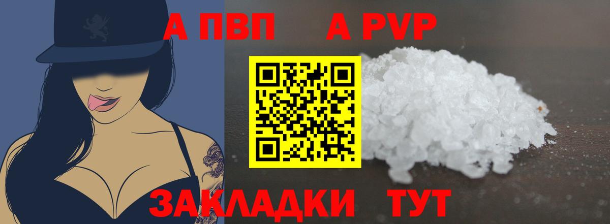 A PVP СК Бийск