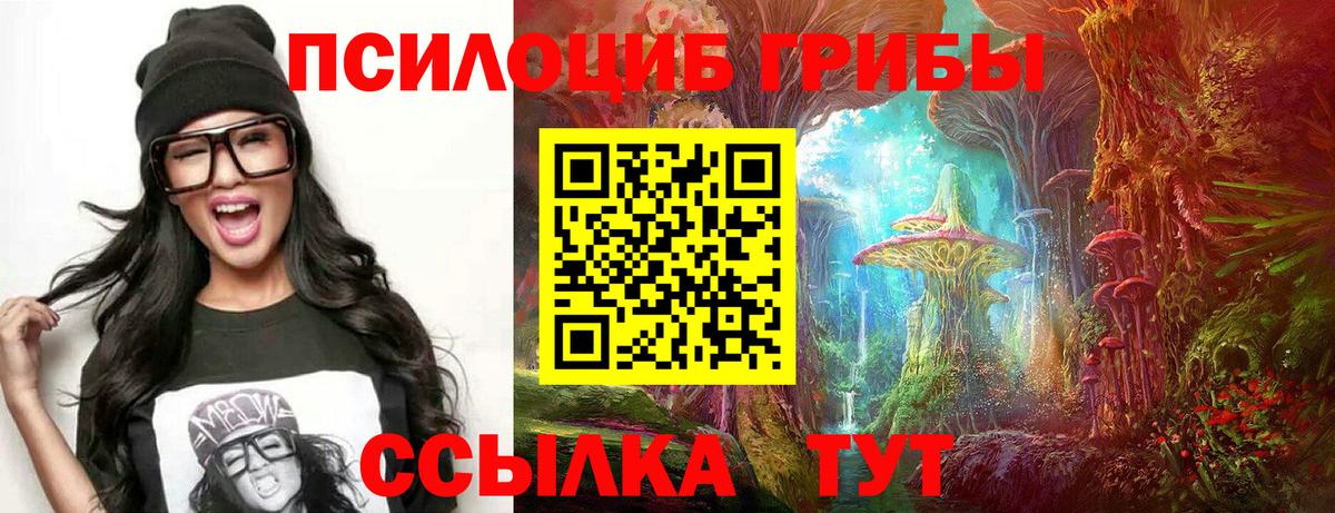 Галлюциногенные грибы Psilocybe  Бийск  Псилоцибиновые грибы GOLDEN TEACHER 
