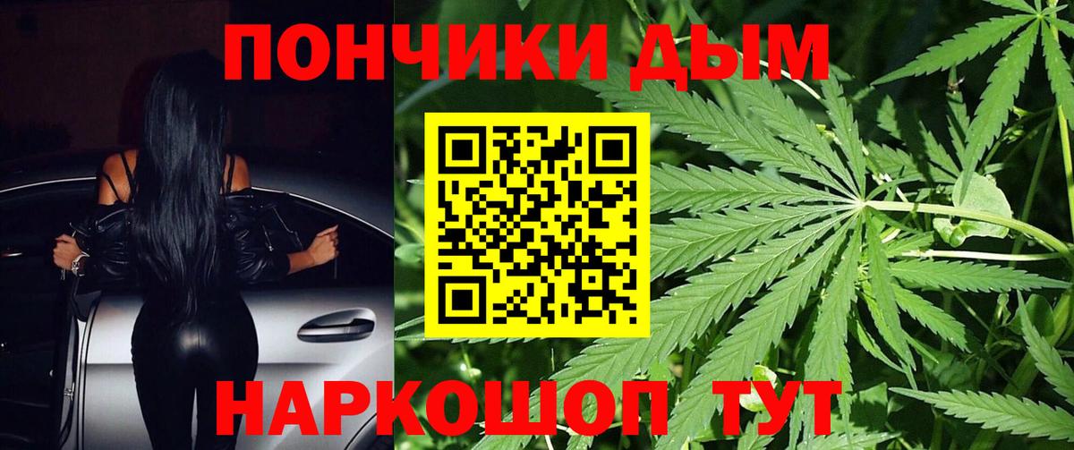 Канабис план  Вход с VPN  Канабис VHQ  Бийск  Конопля White Widow 